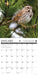 Songbirds 2025 Wall Calendar sample page