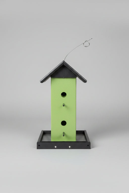Songbird Feeder- lime/black