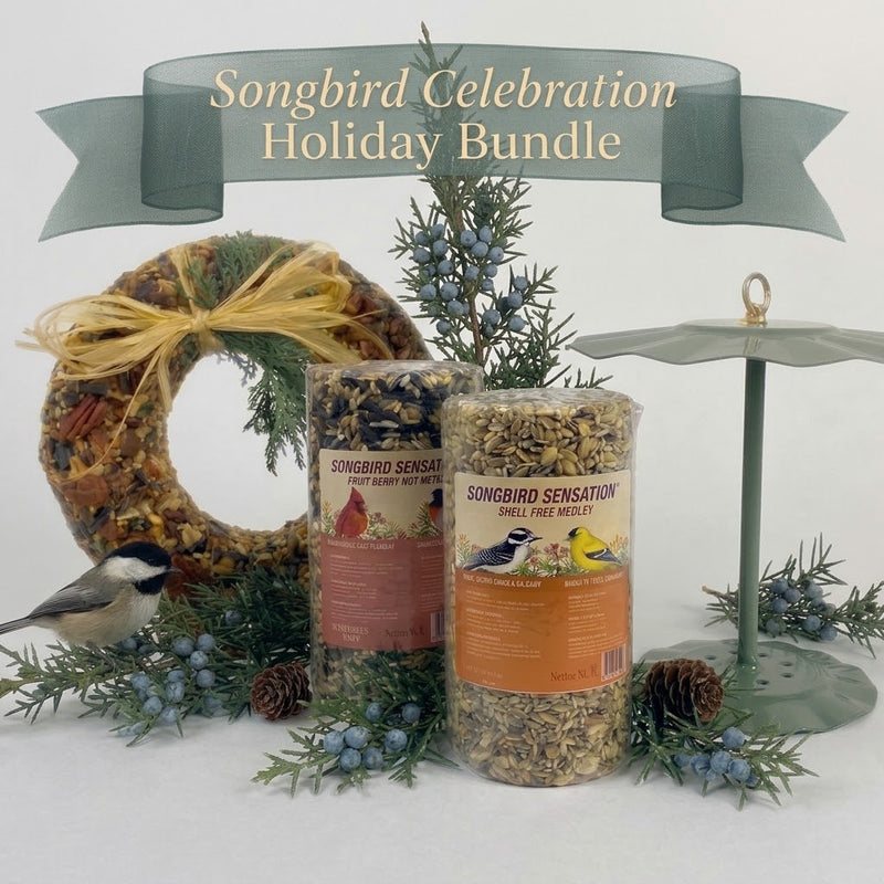 Songbird Celebration Holiday Bundle