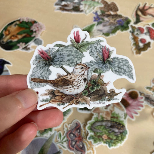 hand holding a Vinyl Sticker -Song Sparrow with Trillium