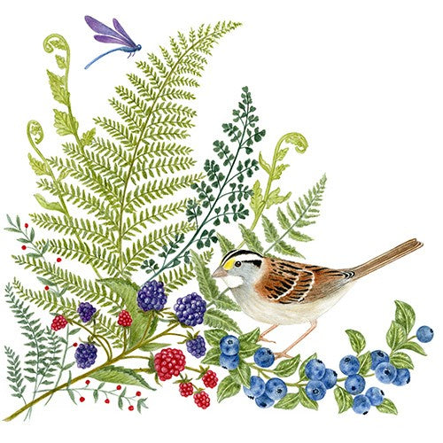 Flour Sack Towel & Magnetic Note Pad Set - White Throated Sparrow - closeup on design