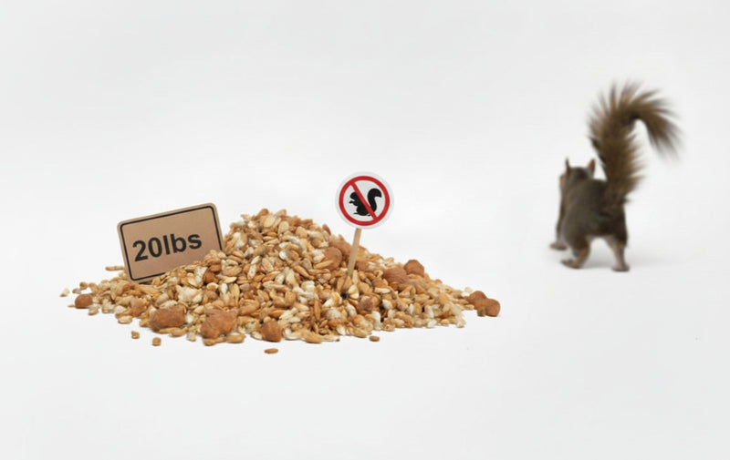 Pile of Spicy Blend seed with a no-squirrels sign and a squirrel walking away