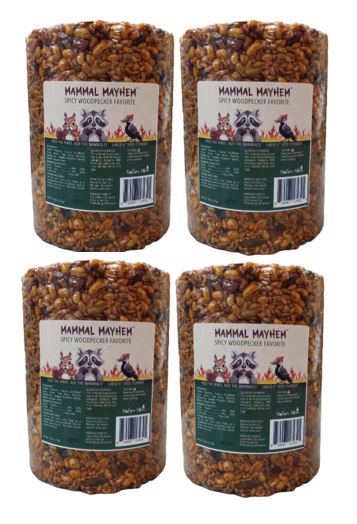 Mammal Mayhem Spicy Woodpecker Favorite Seed Cylinder Large 5.25 lbs -4 Pack