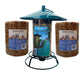 Spicy Bluebird Cylinder Buffet Bundle
