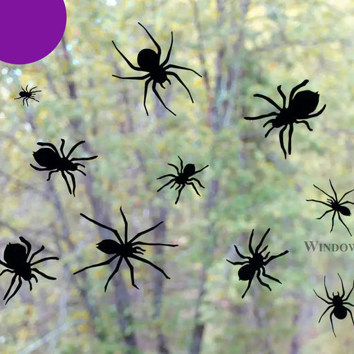Spider Window Clings - Black Vinyl 