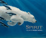 Spirit: The Art of Robert Bissell - book cover