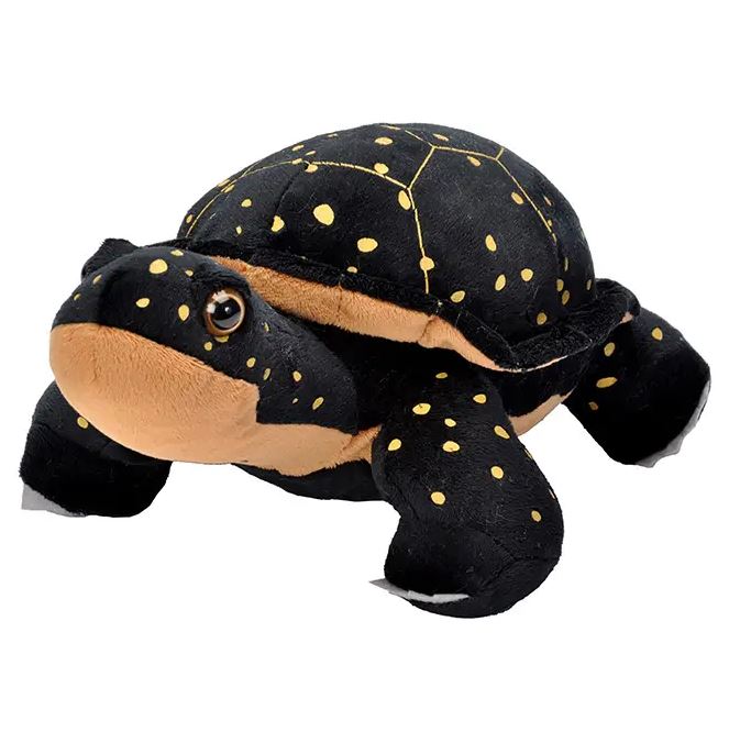 Spotted Turtle Stuffed Animal from Wild Republic — Nature Niche