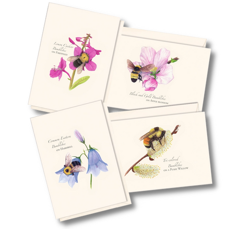 Spring Bumblebee Assortment Note Card Boxed Set
