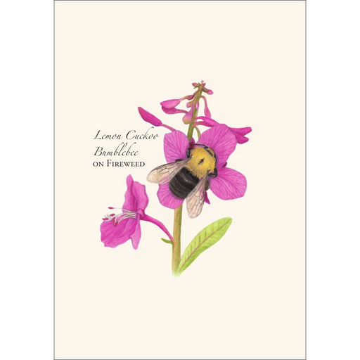Spring Bumblebee Assortment Note Card Boxed Set - lemon cuckoo bumblebee