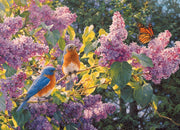 Spring Interlude reference poster featuring 2 bluebirds perched on a branch with a butterfly and bright bring clusters of blossoms