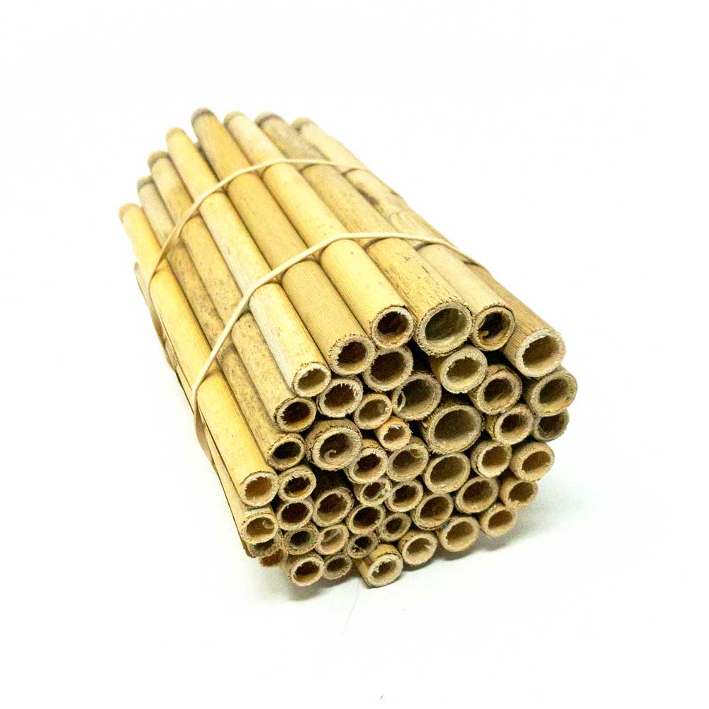 Spring Natural Reeds for Mason Bees 8mm — Nature Niche