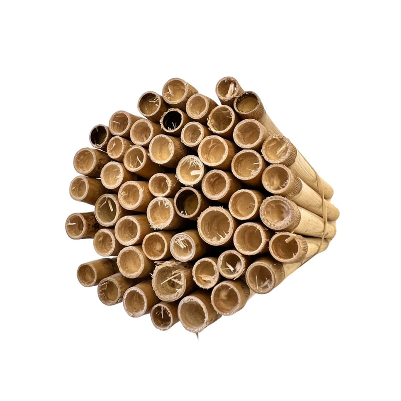 Reeds Spring Spring Spring Natural Reeds for Mason Bees 8mm — Nature Niche