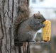 Squirrel Platform Feeder with squirrel