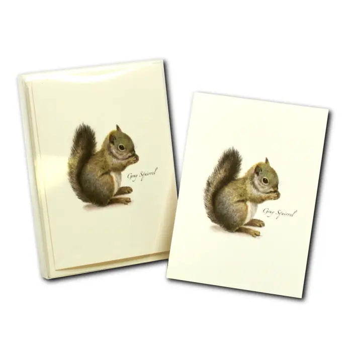 Nature Lover's Gift Bundle - Collecting and Sharing - squirrel boxed notecard set