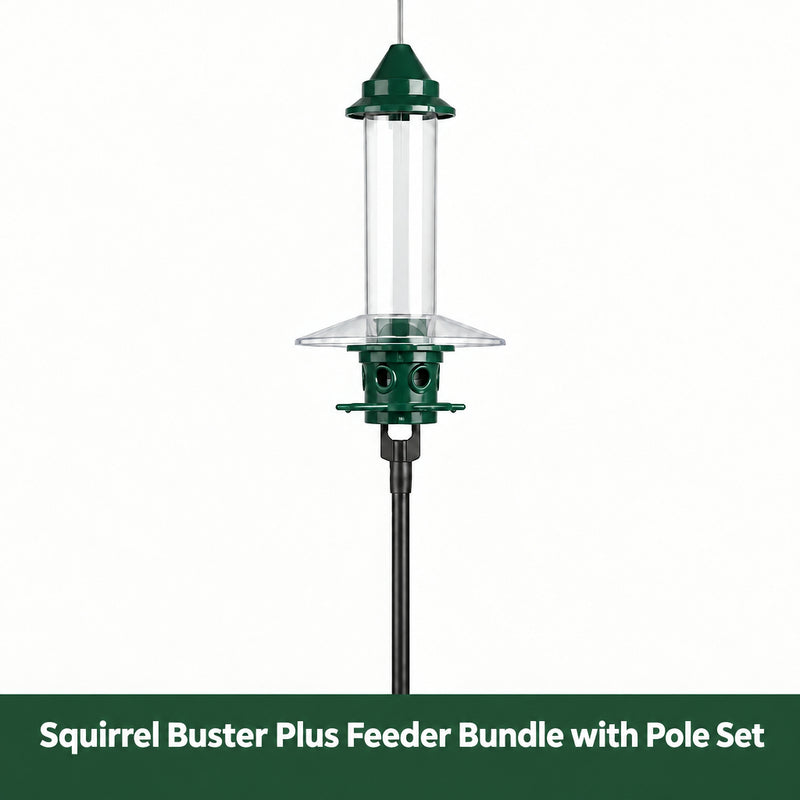 Squirrel Buster Plus Feeder Bundle with Pole Set