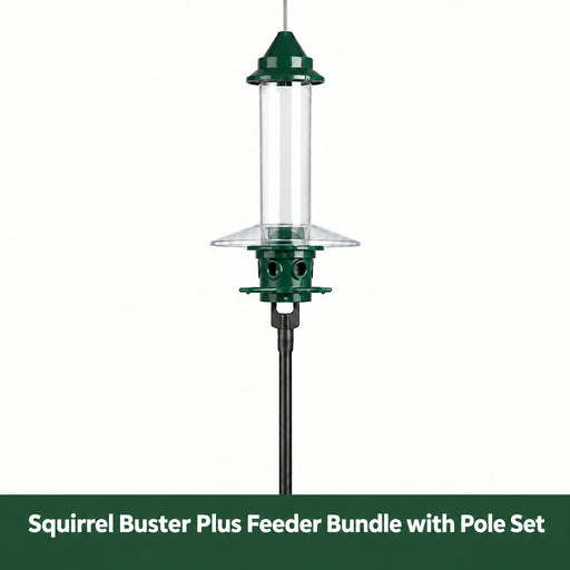 Squirrel Buster Plus Feeder Bundle with Pole Set