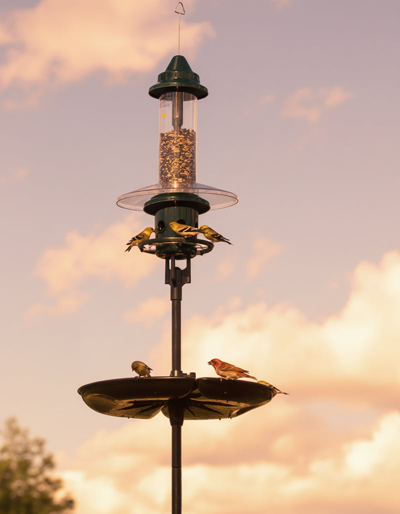 Bird feeder with birds perched on it against a cloudy sky