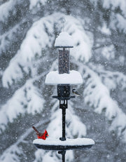 Bird feeder with birds on a snowy day