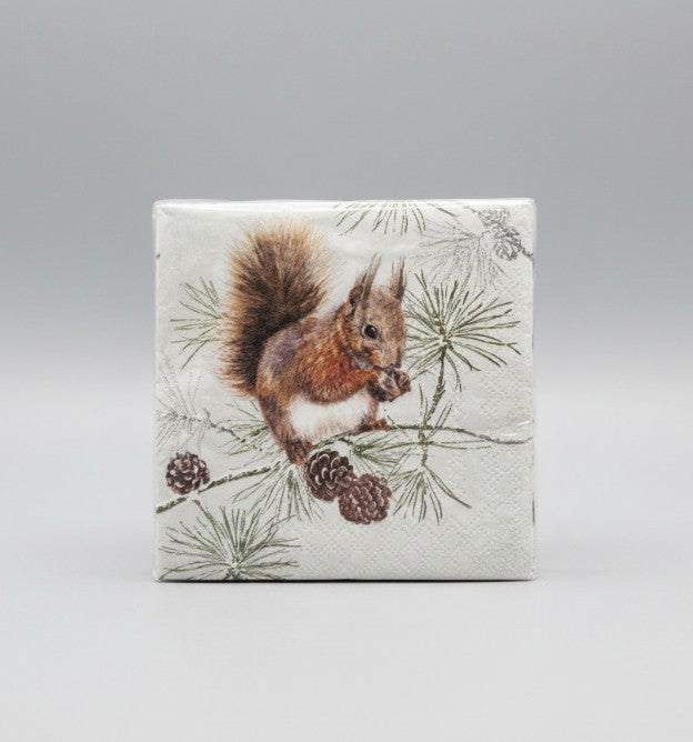 Squirrel In Winter Paper Napkins
beverage size