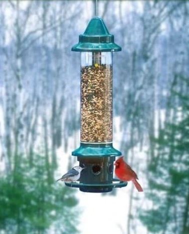 Squirrel Buster Plus Feeder Bundle with Pole Set