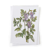 Squirrel Corn Wildflower Botanical Native Plant Card