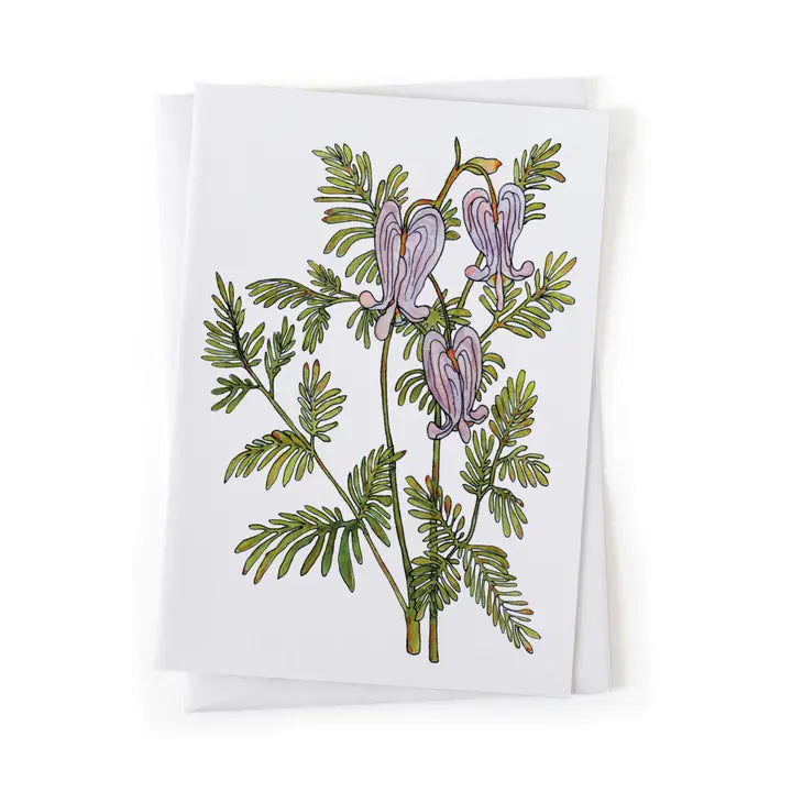 Squirrel Corn Wildflower Botanical Native Plant Card