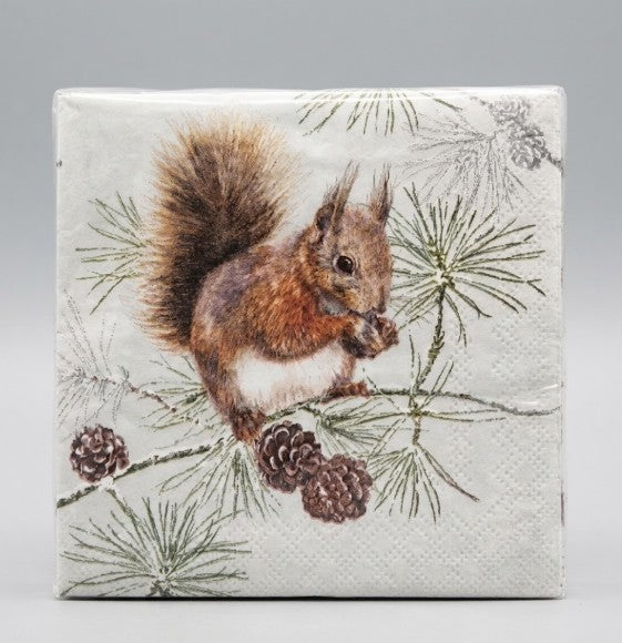 Squirrel In Winter Paper Napkins
beverage size