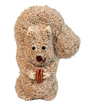 Nutzo Squirrel Ornament