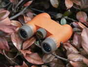 Standard Issue 8x25 Waterproof Binoculars in the leaves