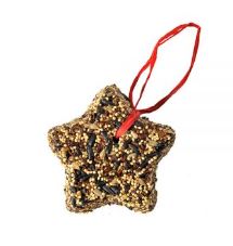 Little Star Ornament