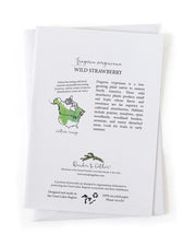 Educational card back about Wild Strawberry with illustrations and text on a white background