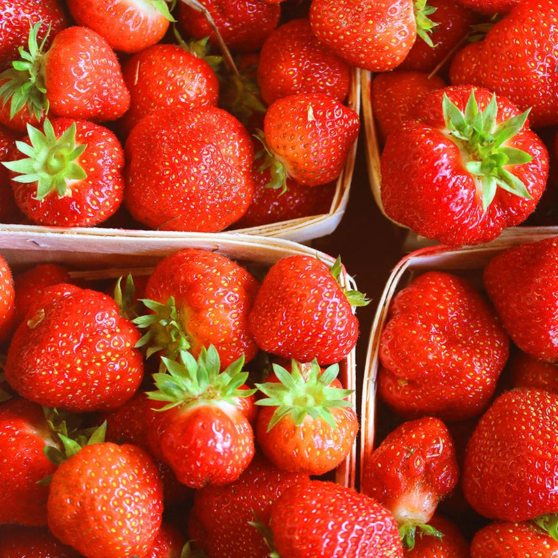 Strawberry with Wild Rose Botanical Jam - strawberries