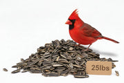 Striped Sunflower Seed 25lb bag with Cardinal perched on top