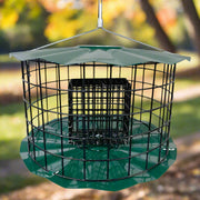 Green Double Suet Cake Feeder