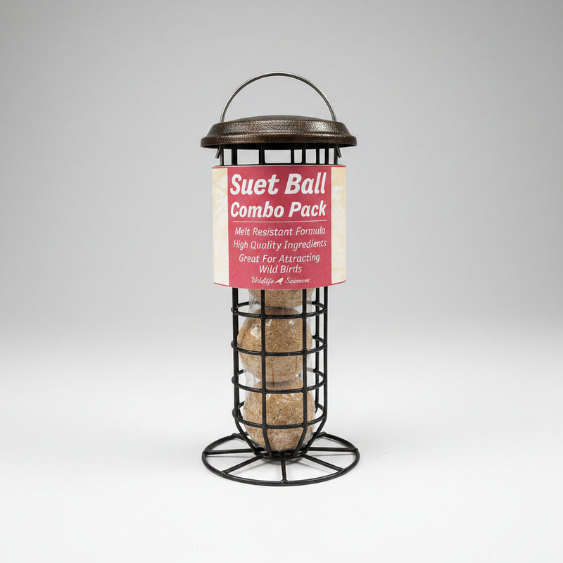 Suet Ball and Feeder Combo Pack