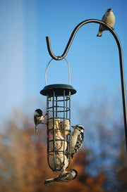 Mesh Suet Ball Feeder with Roof in use