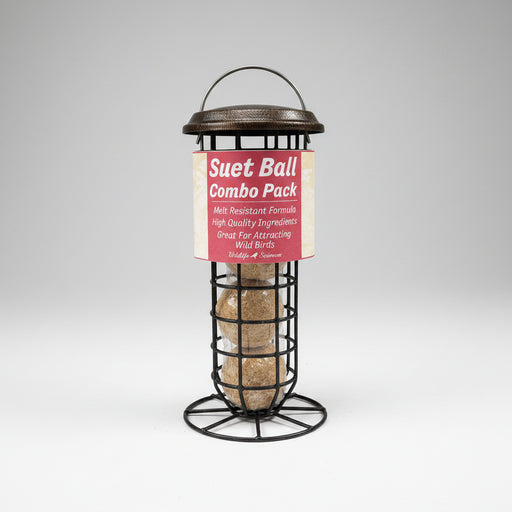 Suet Ball and Feeder Combo Pack