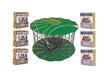Barrier Guard Suet Cake Feeder and Seed Cake Bundle