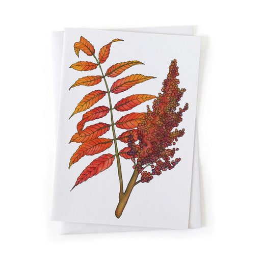 Greeting card with staghorn sumac leaf design on a white background