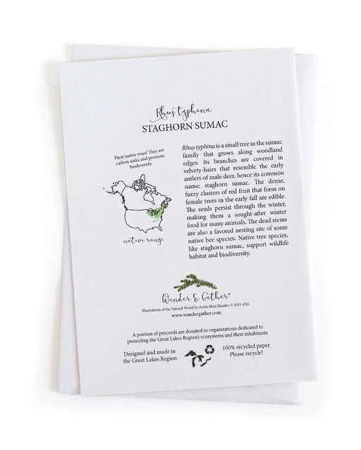 Educational card back with information about Staghorn Sumac with text and graphics on a white background