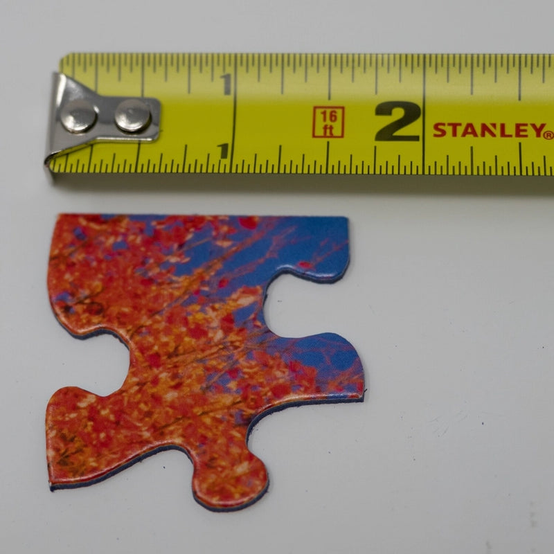 Puzzle piece and tape measure for scale.

