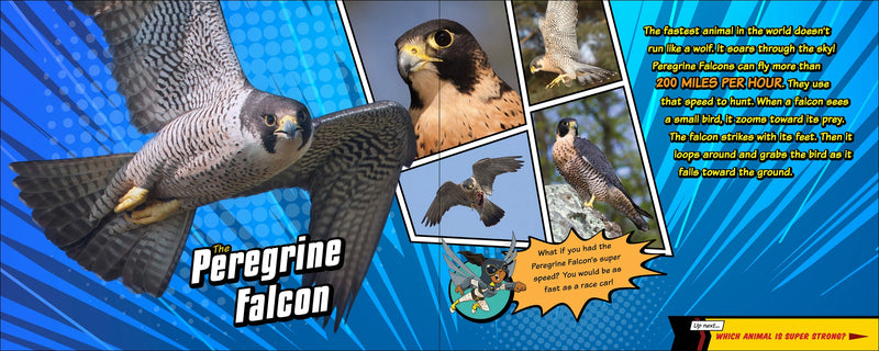 Super Animal Powers
text and photos of the peregrine falcon