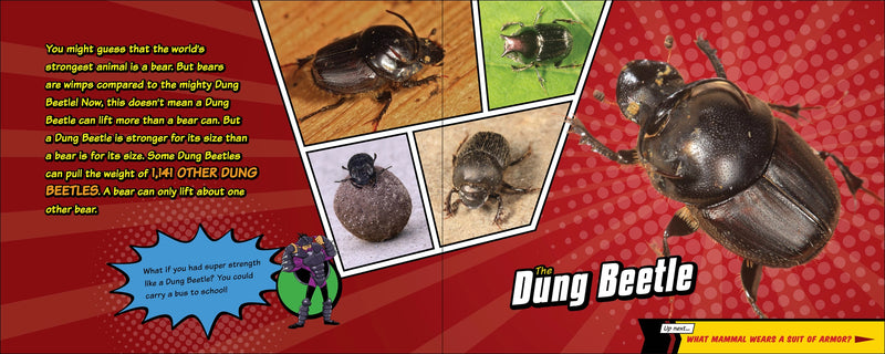 Super Animal Powers
text and photos of the dung beetle