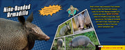 Super Animal Powers
text and photos of the nine-banded armadillo