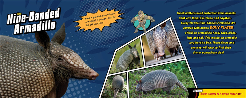 Super Animal Powers
text and photos of the nine-banded armadillo
