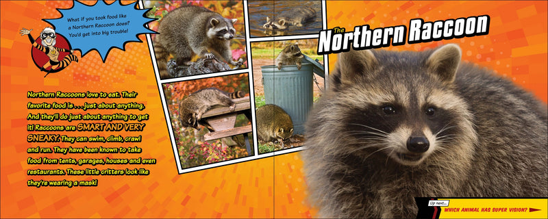 Super Animal Powers
photos and text about the Northern Raccoon