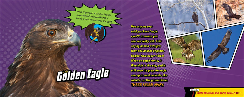 Super Animal Powers
photos and text on the golden eagle