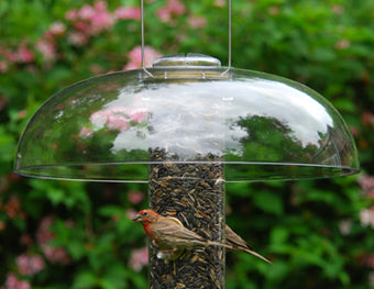 Super Tube Top II - Weather Guard in use