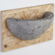 Barn Swallow Nest