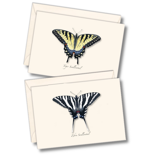 Swallowtail Assortment Notecard Boxed Set of 8